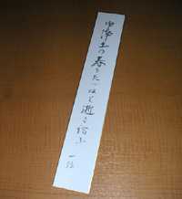 199_1.jpg