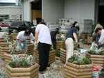20030508113034.jpg