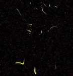 20030613095728.jpg